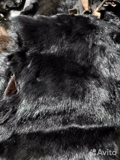 Шкуры норки