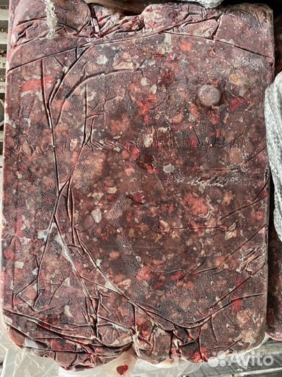 Шрот из мяса и субпродуктов