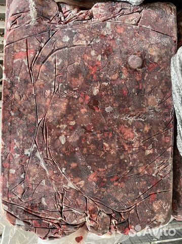 Шрот из мяса и субпродуктов