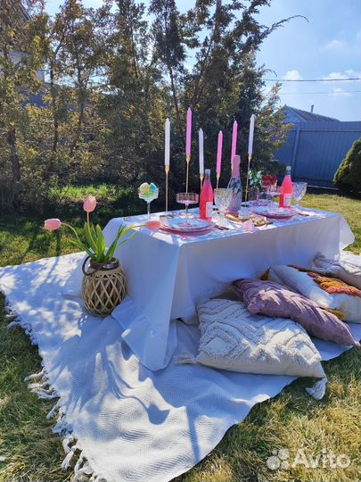 Организация пикника