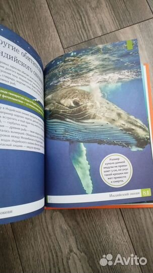 Умная энциклопедия, Елена Ульева. Океаны