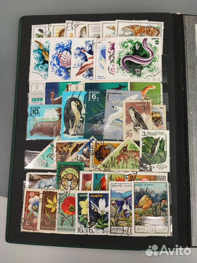 Альбом с марками СССР и др.стран
