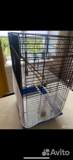 Клетка для попугая