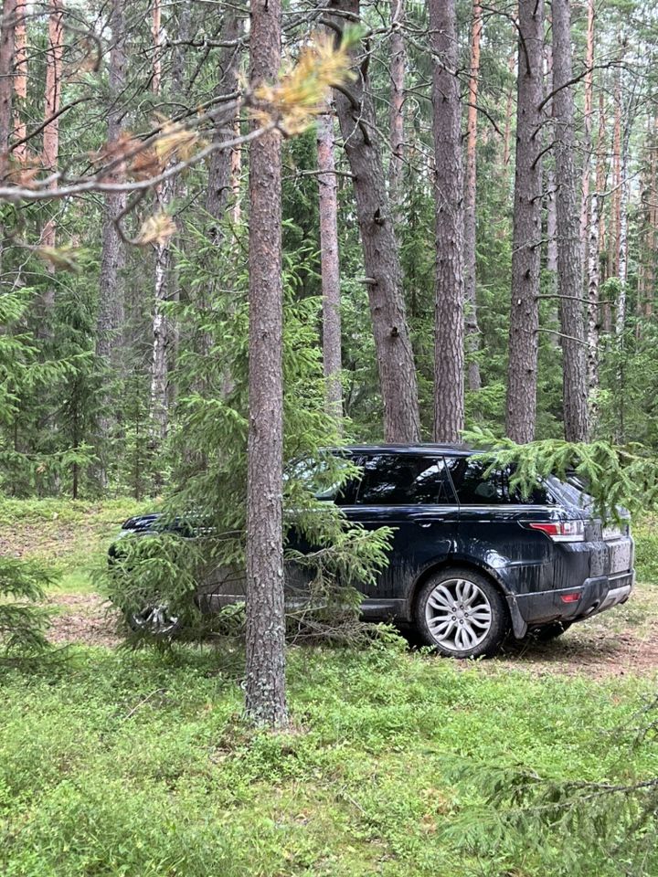 Land Rover Range Rover Sport: фото владельца