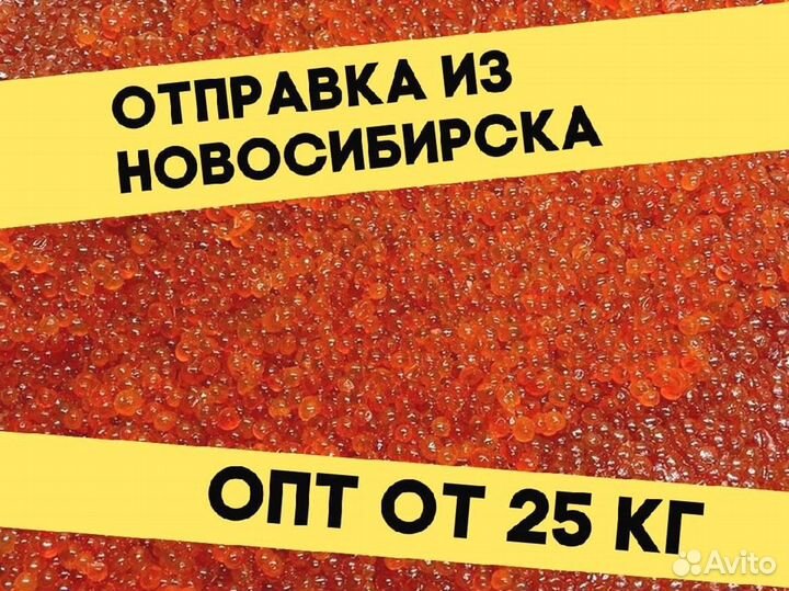 Красная икра нерки, улов 2023 года