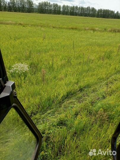 Продаю пшеницу