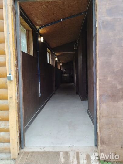 Постой лошадей