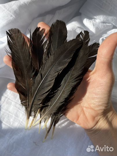 Перья для рукоделия творчества