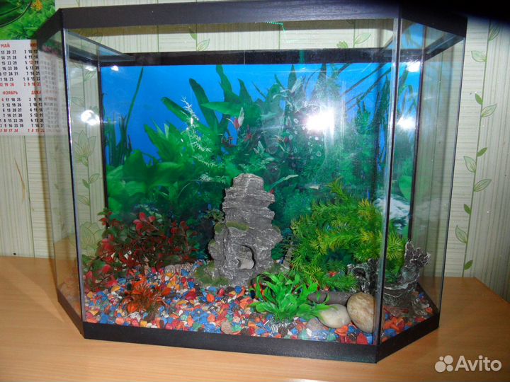 Аквариум