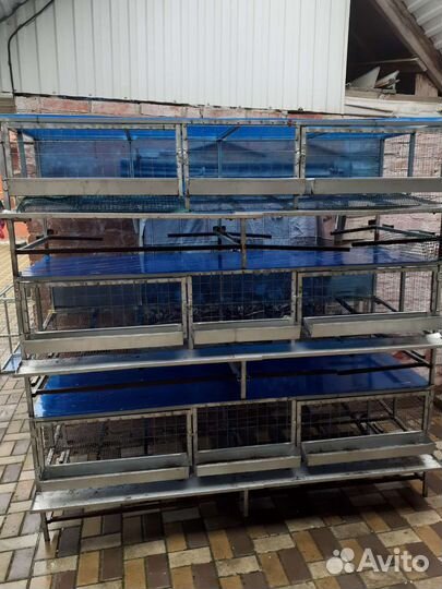 Клетки для кур несушек