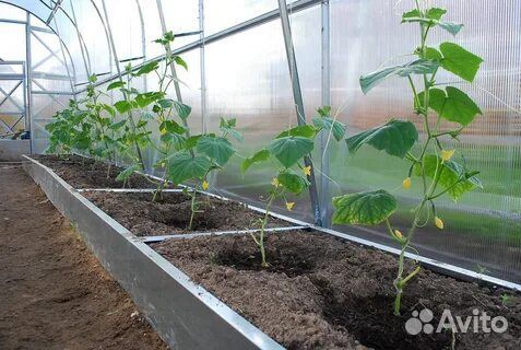 Плодородный грунт с доставкой