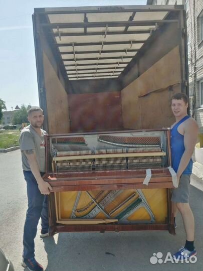 Грузоперевозки,грузчики