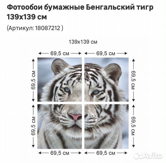 Бумажные фотообои бенгальский тигр