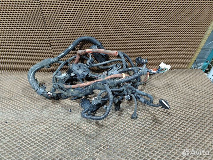 Проводка двс Toyota Prius Alpha ZVW41W 2zrfxe 2014