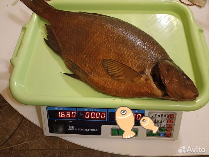 Рыба с реки Унжа