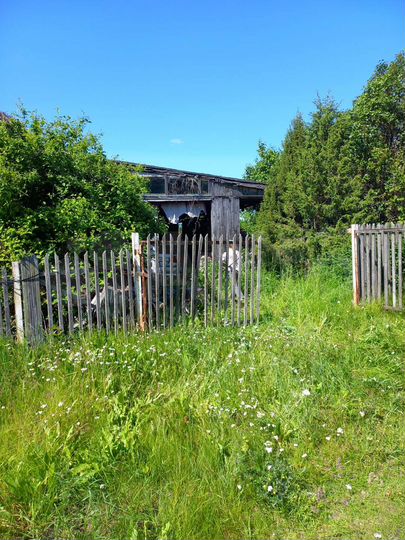 Дом 30 м² на участке 40 сот.