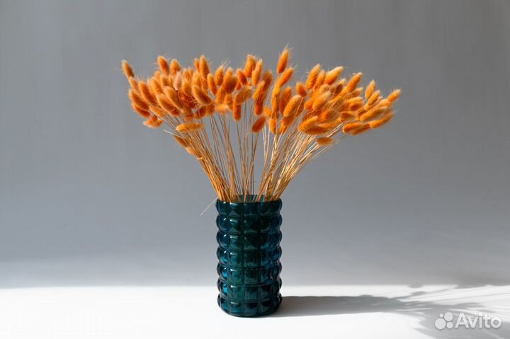 Сухоцветы лагурус