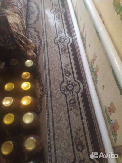 Паласы бу
