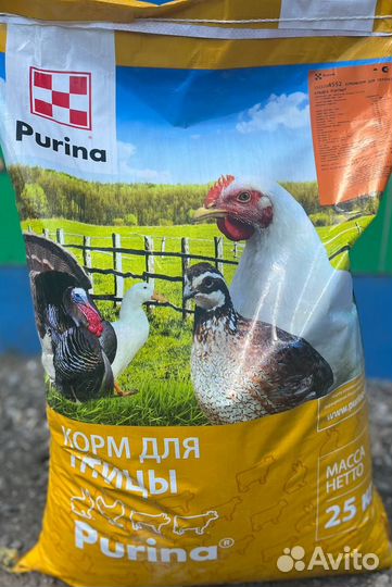 Комбикорм для продуктивных перепелов Пурина 25 кг