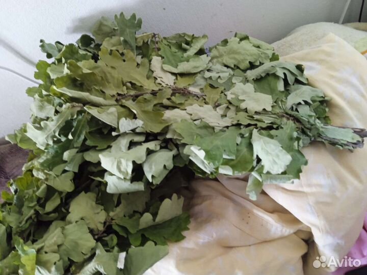 Дубовые веники для бани