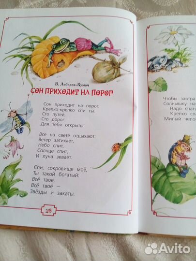 Моя первая книга