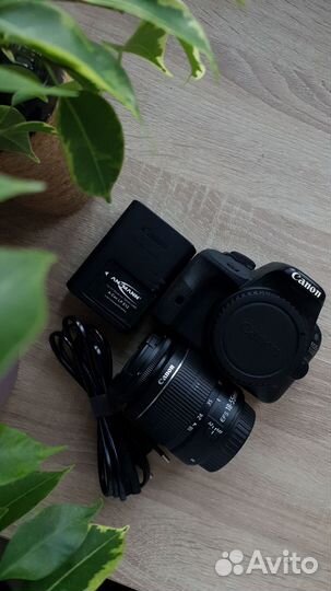 На доставке Фотоаппарат Canon EOS 100D