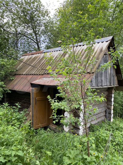 Участок 40 сот. (ИЖС)