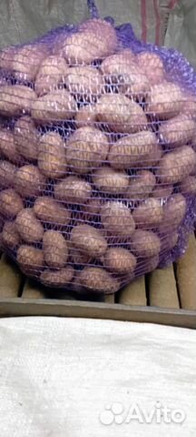 Продам картофель с бесплатной доставкой урожай2023 объявление продам