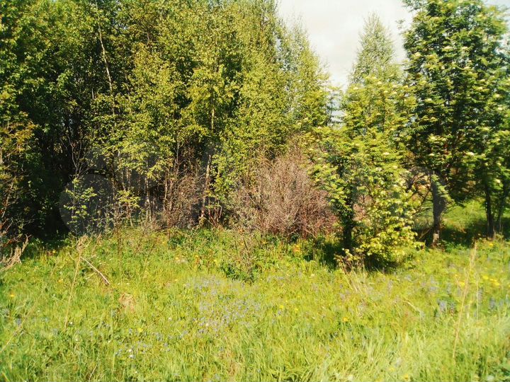 Участок 6 сот. (СНТ, ДНП)