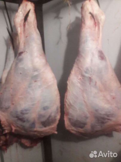 Мясо домашнее, говядина