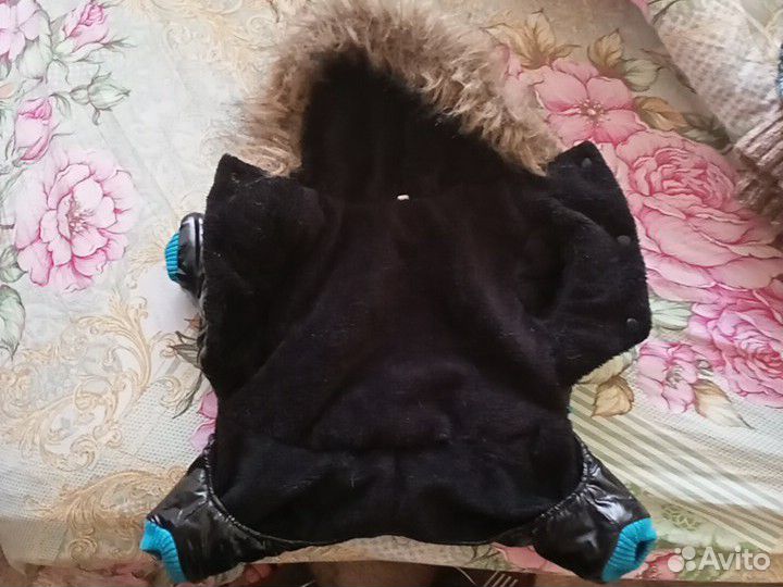 Дождевик для собак