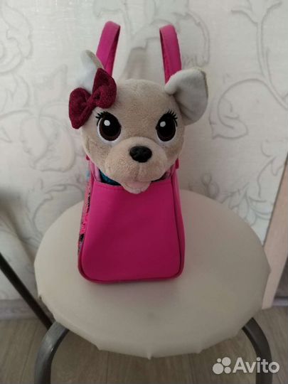 Собачка чичилав