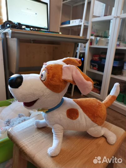 Макс из Тайная жизнь домашних животных