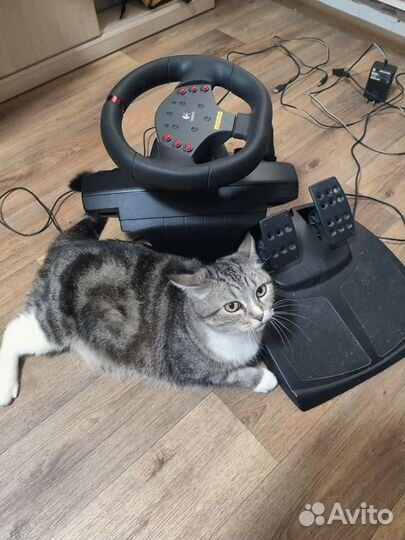Игровой руль Logitech momo racing