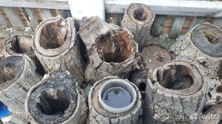 Пеньки для декорации, орех