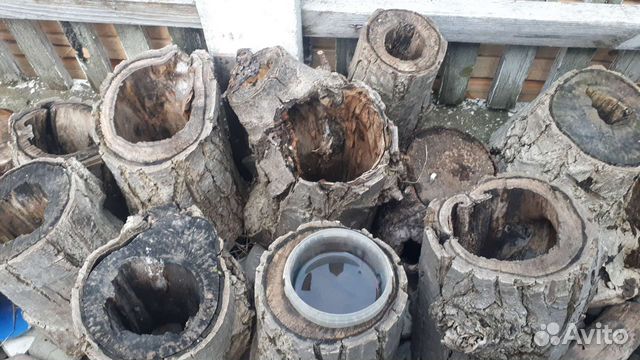 Пеньки для декорации, орех