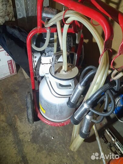 Доильный аппарат для коров