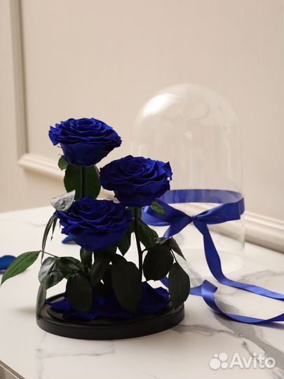Розы в колбе синие. Трио размер L.Доставка