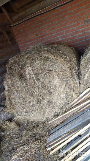 Продам сено в рулонах