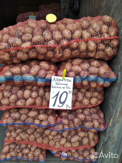 Картофель от производителя