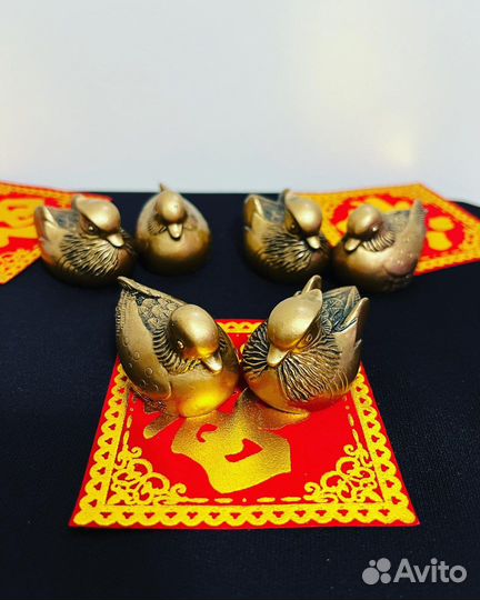 Уточки мандаринки