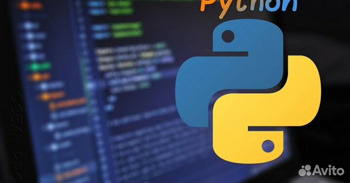 Репетитор по программированию и математике