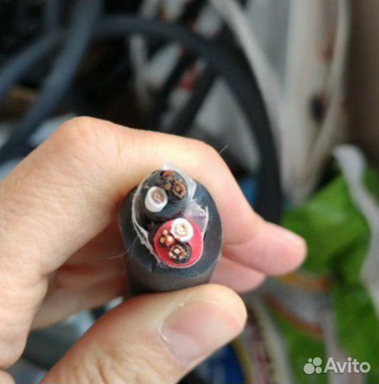 Акустический Audiology sp-2 длиннозернистая медь