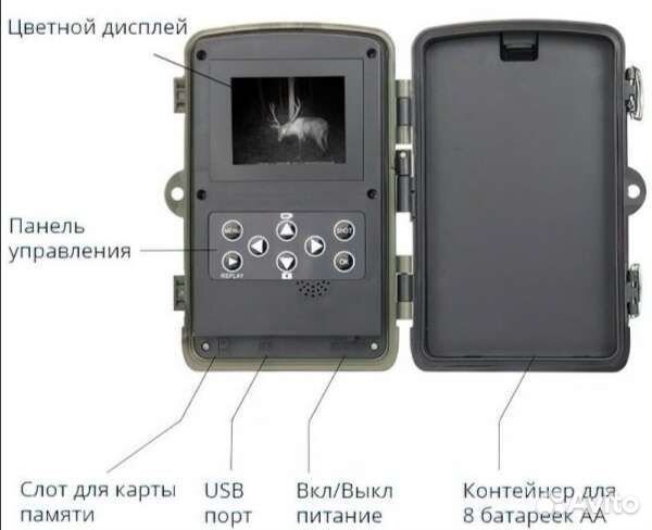 Фотоловушка