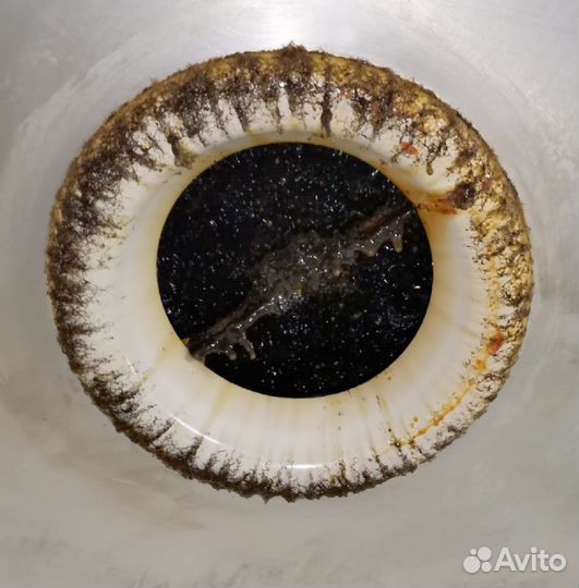 Чистка вентиляции, канализации, мангалов, хосперов