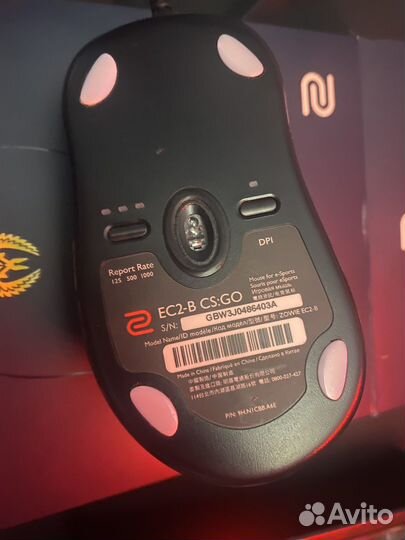 Zowie ec-2 b CS:GO Version