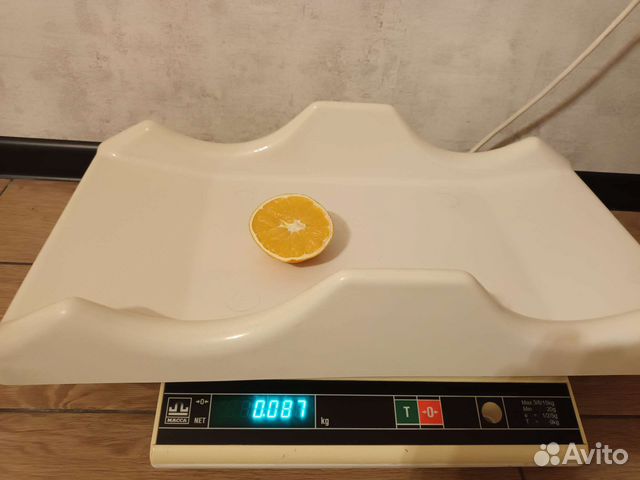 Детские весы саша прокат