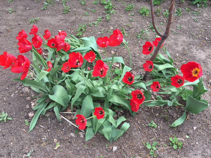 Дом 85 м² на участке 10 сот.