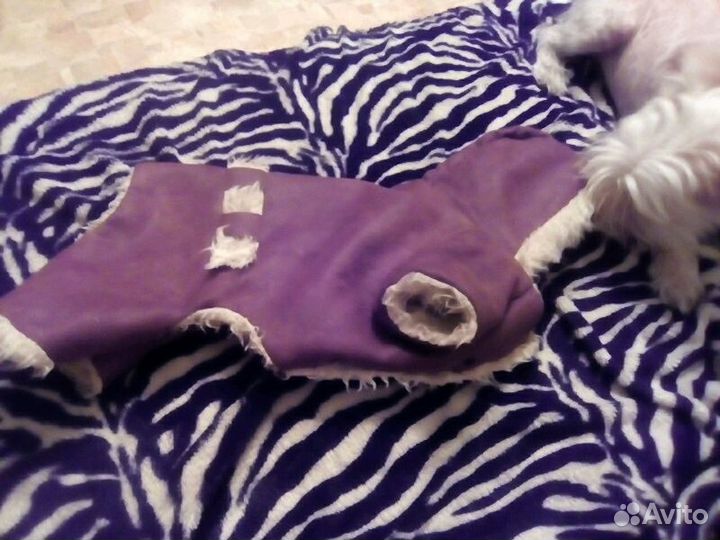 Дублёнка для собаки