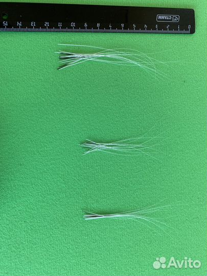 Кошачьи усы вибриссы